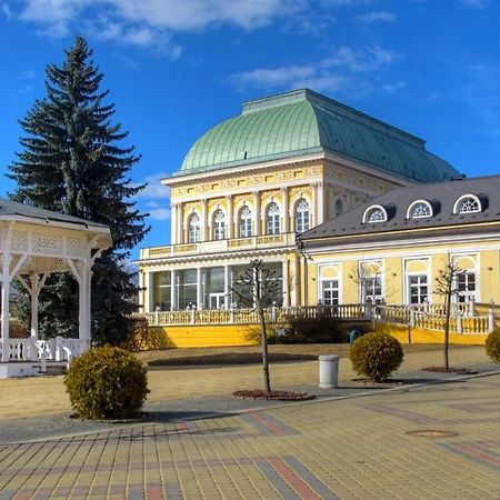 Penzion U Modreho Slona Františkovy Lázně エクステリア 写真