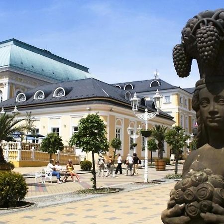 Penzion U Modreho Slona Františkovy Lázně エクステリア 写真
