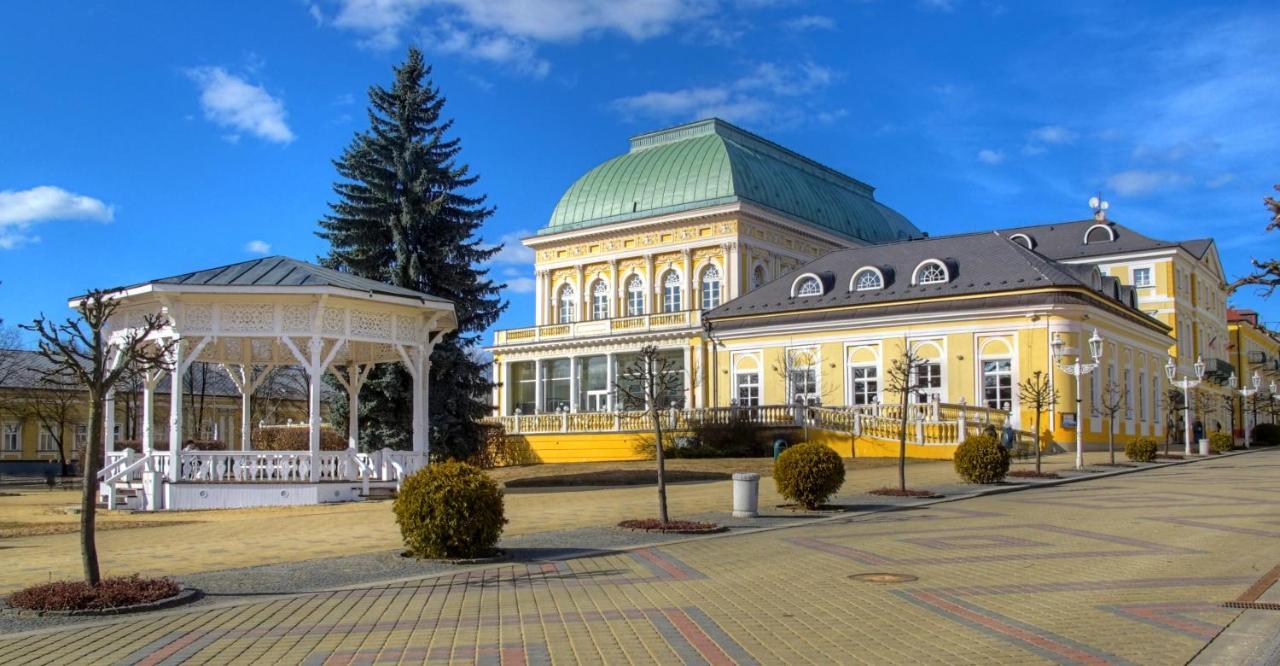 Penzion U Modreho Slona Františkovy Lázně エクステリア 写真